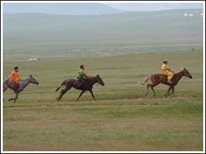 Paardenrennen over 15km